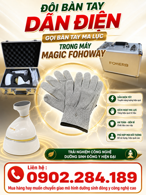 Giá Bán Đôi Bàn Tay Ma Lực Của Máy Magic Fohoway Bao Tiền
